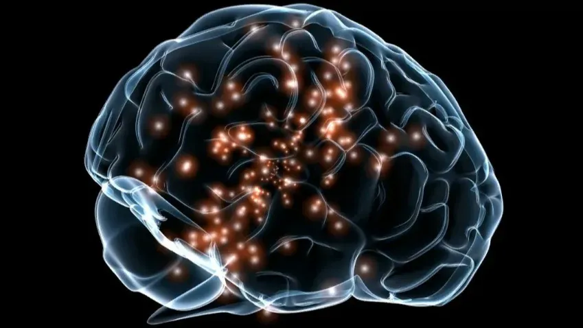 Нейробиологи нашли новый тип клеток в головно мозге