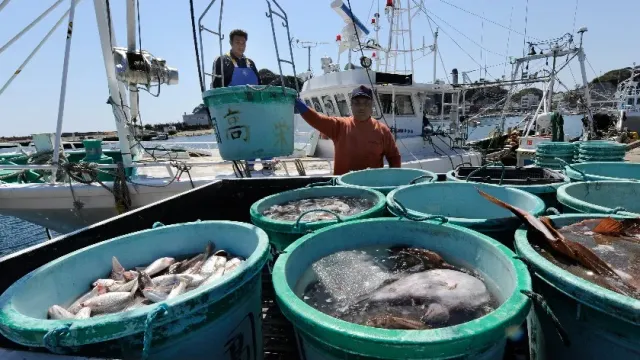 Японии решают выделить дополнительные 140 млн долларов на поддержку рыболовства