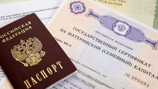 Горячая новость | Экономист развеял пять мифов о материнском капитале