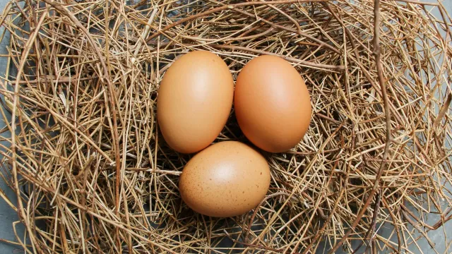 ФАС увидела тенденцию к снижению цен на яйца