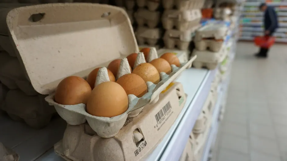Рост цен на яйца связали с птичим гриппом и дефицитом кадров