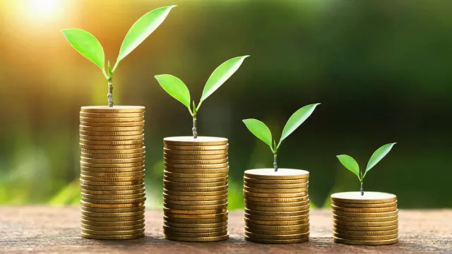 Горячая новость | Россиянам рассказали, как повысить доходной вклада