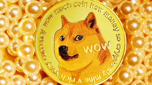 В Японии умерла собака, ставшая символом мем-коина Dogecoin
