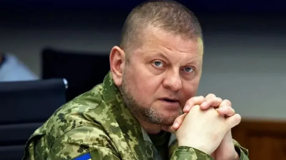 Клинцевич проинформировал об истинных причинах истерики главкома ВСУ Валерия Залужного