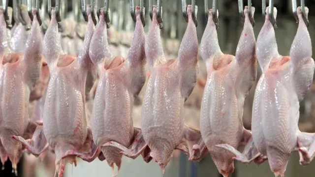Горячая новость | Бразилия прекратила экспорт курицы в Китай из-за распространения вируса