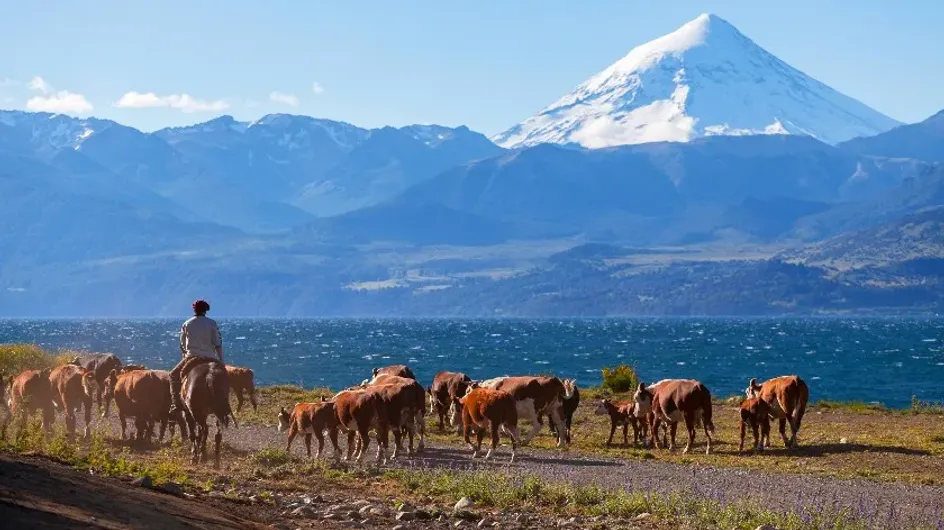 Увеличение речного стока приводит к затоплениям полей и эвакуации скота в Аргентине