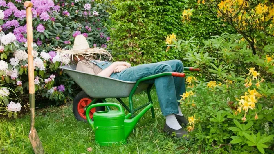 Россияне начали выбирать дачи вместо квартир Россияне начали выбирать дачи вместо квартир