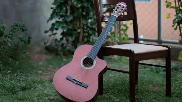 Производитель гитар создает музыкальные инструменты из биоматериалов